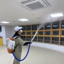 장기초병설유치원 이미지