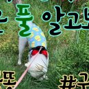 동물의왕국 동물병원 이미지