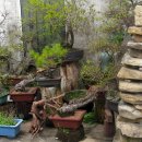 황포식당 이미지