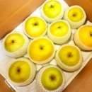 황금농장(2) 이미지