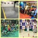 정화 태권도장 이미지