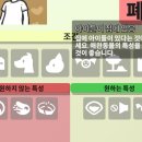 PC구조대 이미지
