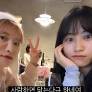 영민동물병원 이미지