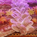 대일정육점 이미지