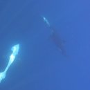 D00854 National Geographic