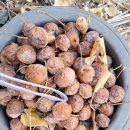 소박농장 이미지