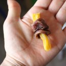 롤라슈퍼 이미지