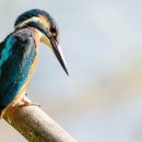 (주)예람 이미지