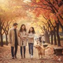 비단강숲마을 | 충남 금산 여행 - 강아지 산책 명소 TOP 4