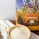 (주)팜스킹코리아