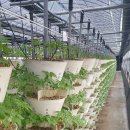 별빛농장 이미지