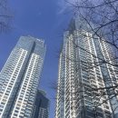 스타 무덕 태권도 이미지