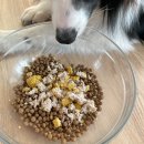 멍멍상회 이미지