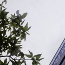 현일목장 이미지