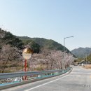 봉화별캠핑장 이미지