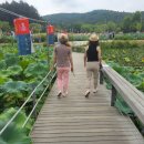 6.24.wed 나는 또 하루를 살아냈더라 이미지