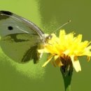 순영웰라이빌1차 이미지