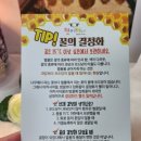 꿀빠 이미지