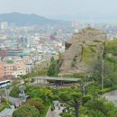 제주웰빙