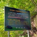 여행가방펜션 브런치