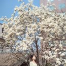 실란트로(주) 이미지