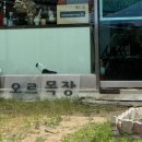 성보축산 이미지