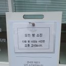 화이트리에 이미지