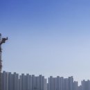 강남-081 이미지