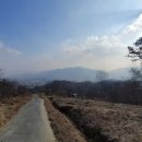 청산생선국수 - 옥천군 | 청산생선국수