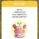 슈즈룸 | [앱테크] 오늘의가든 | 남성용 룸슈즈 키우고 무료로 받은 후기
