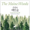 소로3-200 이미지