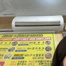 미스테리 아일랜드 울릉도, MBTI P들의 2박 3일 여행기 🧳