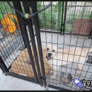 벤지 펜션 이미지