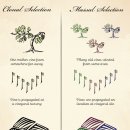 신대륙목장 이미지