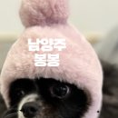 봉봉미용실 이미지