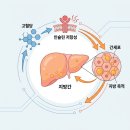 (주)보리메디칼 | "비만보다 사망 위험 2배" 마른 지방간, 당뇨와 함께 오면 더 위험한 이유
