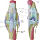 삼송사랑 동물의료센터 이미지