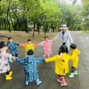 [아람] 비가오면 더 특별해지는 숲🌳☔️ 이미지