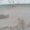 대흥자동차공업사 이미지