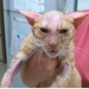 365일24시PC 이미지