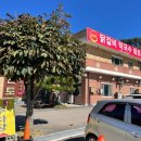 홍천 소노벨 비발디파크 근처 맛집 추천도 높은 본토닭갈비