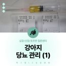 모래내동물병원 네이버블로그
