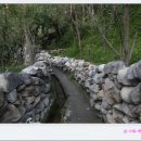 뚜루하우스 이미지