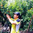 영천농장 이미지