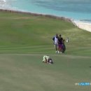 장하나의 LPGA 최초 파4 홀 홀인원 이미지