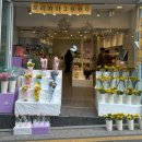 스노우폭스플라워강남 이미지