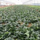 한별농장 이미지