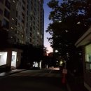 세무회계내일처럼 이미지