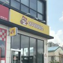 너구리대피소