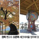 승리농기구